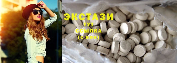 дживик Няндома