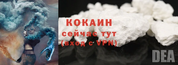 дживик Няндома