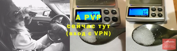 дживик Няндома
