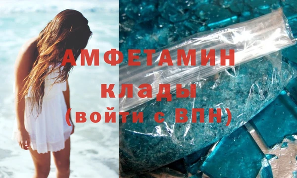 дживик Няндома
