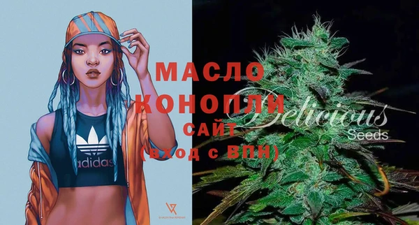 дживик Няндома