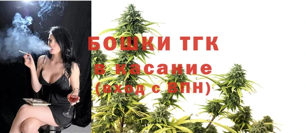 дживик Няндома